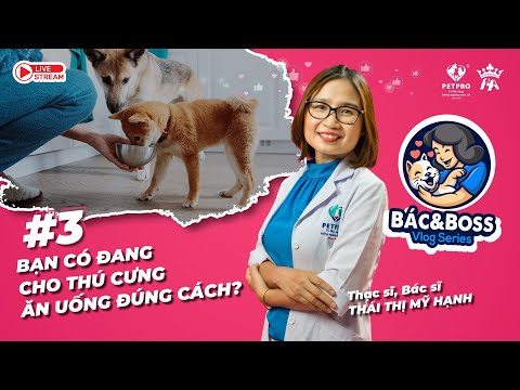 Video: Hỏi bác sĩ thú y: Tôi có nên cho chó của tôi uống Probiotic không?