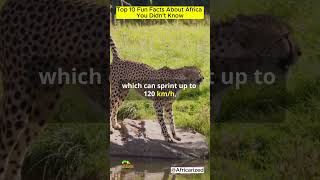 Top 10 Fun Facts About Africa You Didn’t Know | Africarized