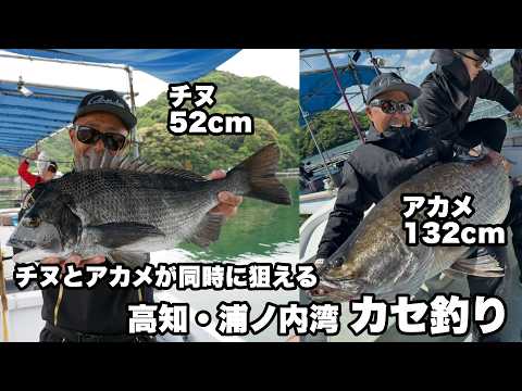 チヌもアカメも狙いは大型！ 高知 浦ノ内湾のカセで楽しむチヌ釣り＆アカメ釣り／釣り人・南 康史