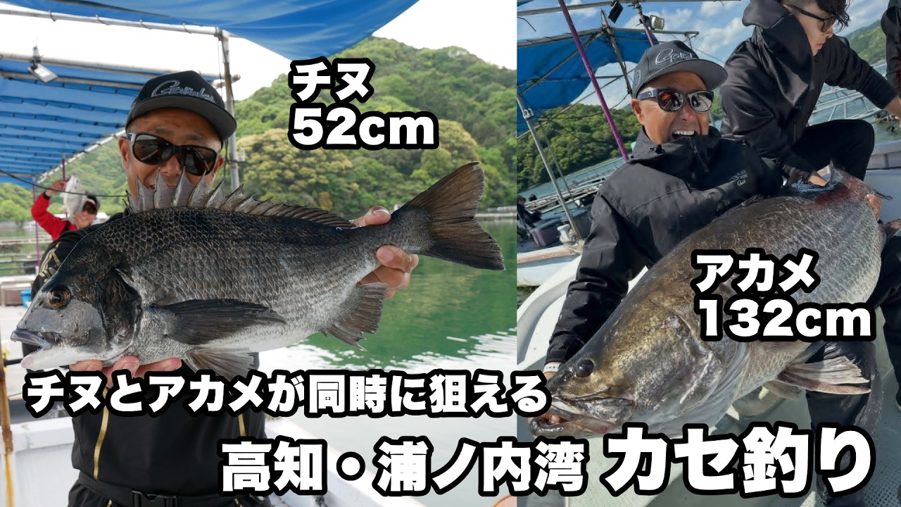 チヌもアカメも狙いは大型! 高知 浦ノ内湾のカセで楽しむチヌ釣り&アカメ釣り/釣り人・南 康史