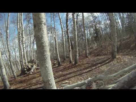 JOC Bragg Creek Airsoft - April 9th 2010