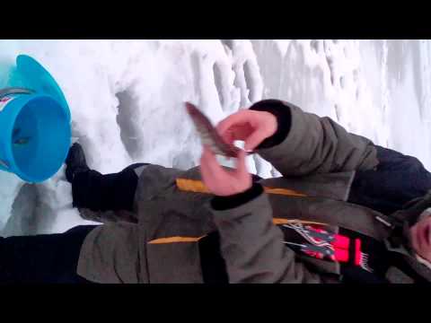 Зарыбление судаком Орловки ;) 2015-01-03