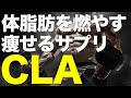 【体脂肪燃焼】CLA(共役リノール酸)の効果・摂取方法・副作用や危険性【筋トレ/ダイエットサプリ】