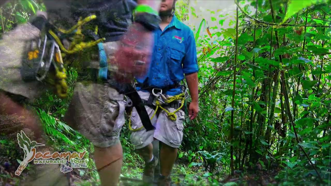 Arenal Canopy Adventure – Zipline Tour in La Fortuna, Costa Rica