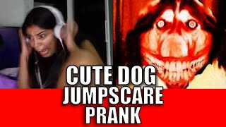 Cute Dog JUMPSCARE PRANK on Omegle!