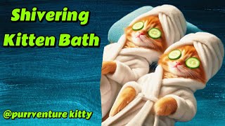 Watch as I soothe my adorable kitten with a warm bath, followed by cuddles and comfort. by Purrventure Kitty 51 views 1 month ago 7 minutes, 28 seconds
