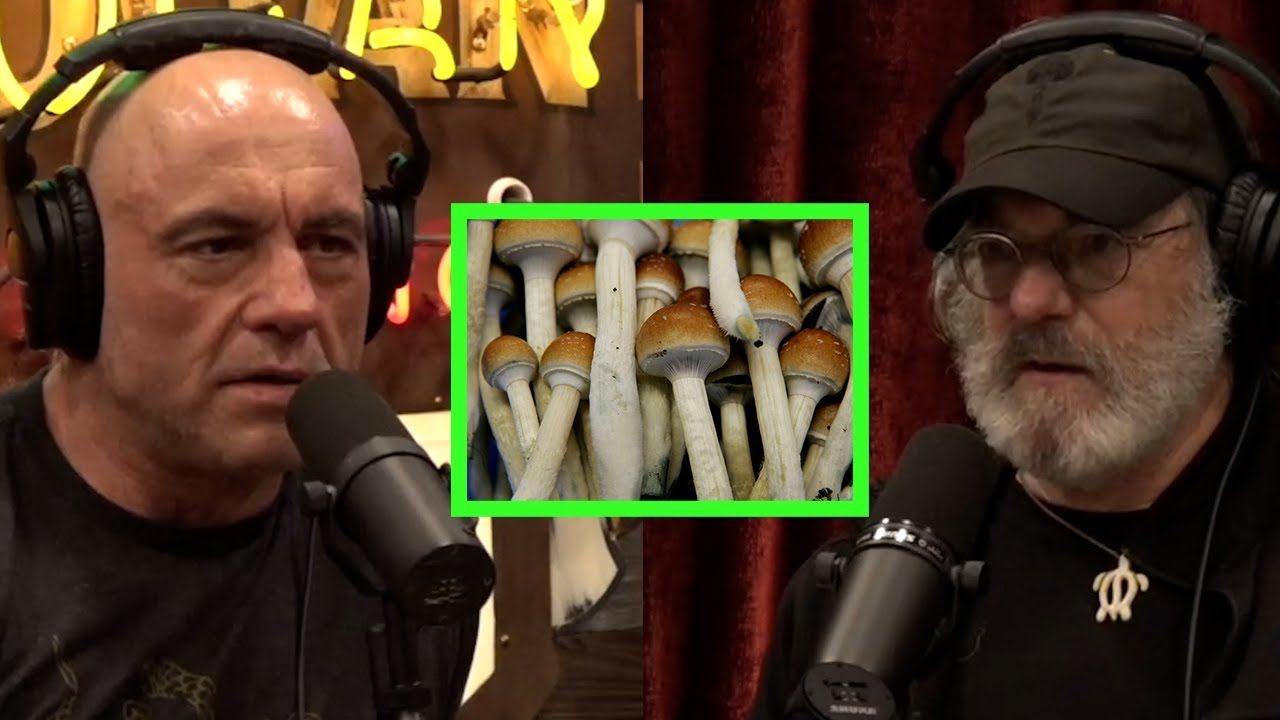 hq720.jpg
