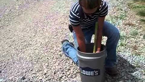 Washing Roots for Rootworms