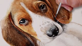 Watercolor Puppy Dog Painting Narrated Tutorial - Treeing Walker Coonhound