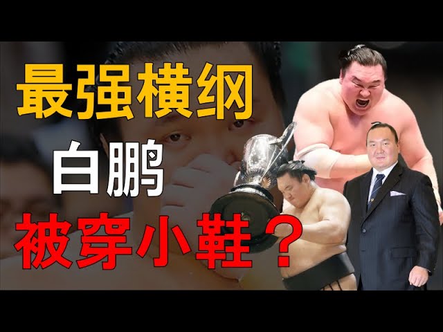 相撲最強大佬29次大战，669胜朝青龍vs1183胜白鵬，誰才是第一橫