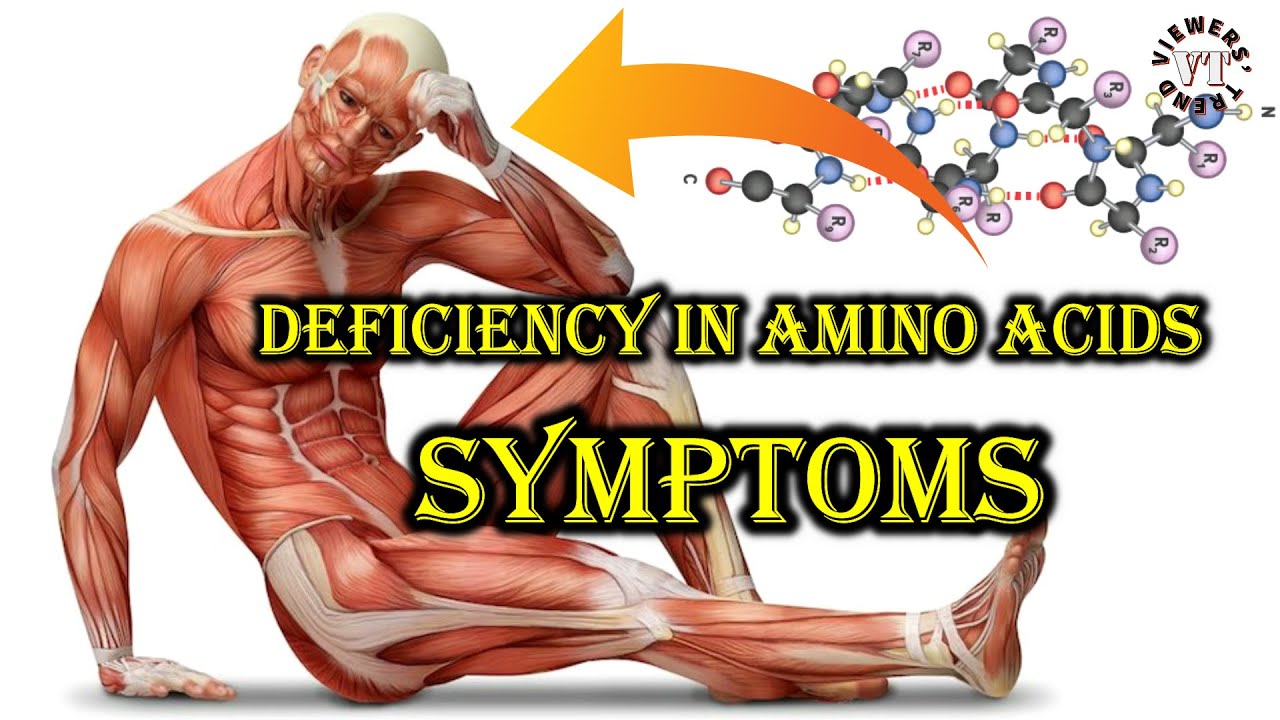 CLEAR SIGNS YOU MIGHT HAVE A PROTIEN DEFICIENCY AMINO ACIDS YouTube