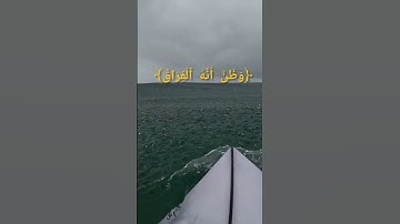 تلاوة نادرة من سورة القيامة #اكسبلور #دويتو #islamicvideo #تيك_توك #المصحف #ترند