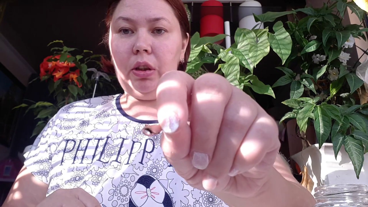 До и после чистим серебро латунь, медь и бронзу - YouTube