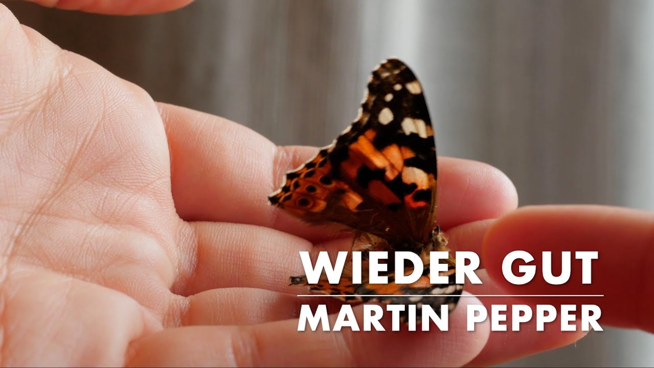 Wieder gut | Martin Pepper mit Uli Kringler | Lyric Video