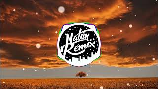 I Need Your Love (Whoopa Cover) (Remix) - (Nation_Remix) Resimi