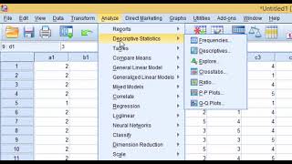 การวิเคราะห์ข้อมูล Google Form ด้วยโปรแกรม SPSS