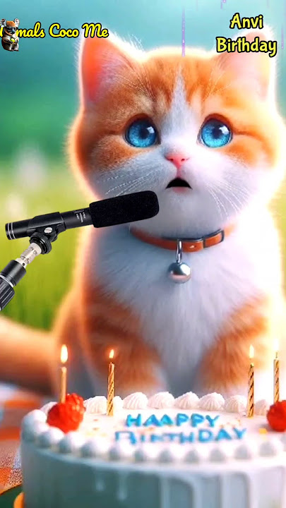 HAPPY BIRTHDAY TO YOU ANVI | HAPPY BIRTHDAY SONG WITH NAMES | Adorable Cute Cat 😺 #cat #cute