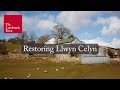 Rescuing llwyn celyn the inside story  2018 landmark lecture