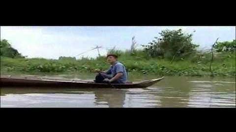 Con Cá Rô Đồng   Vân Quang Long   Video Clip