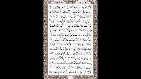 القرآن الكريم بصوت الشيخ سعد الغامدى صفحات صفحة رقم ( 12)