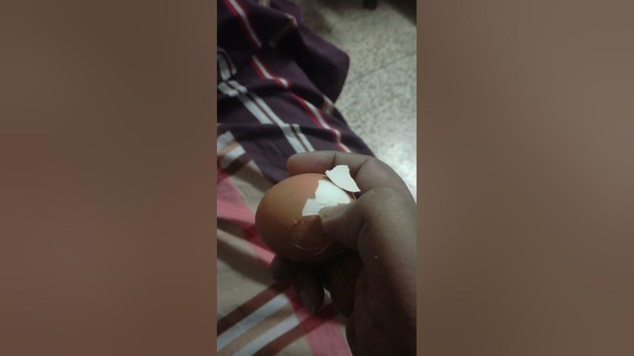 eat-boiled-egg-at-night-youtube