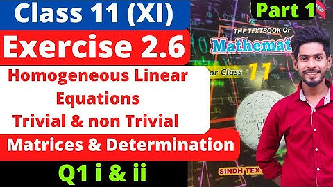 Class11 Exercise2.6 unit2 Q1 trivial non Trivial solution Matrix & Determination New Math SindhBoard