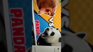 Brown Bear vs Giant Panda | @patrickbell7035