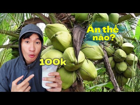 What does a 100k VND cup of waxy coconut drink in Ben Tre taste like? | Western Vietnam Travel 3