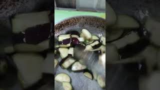 Bharit Sopi Recipe Aahe