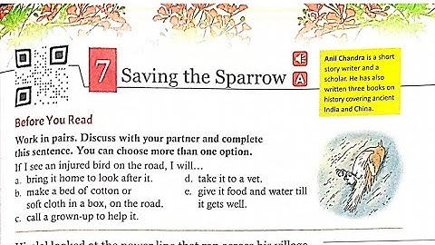 Saving The Sparrow Class 4 Of Gulmohar Golden Jubilee Edition Chapter 7 In Hindi