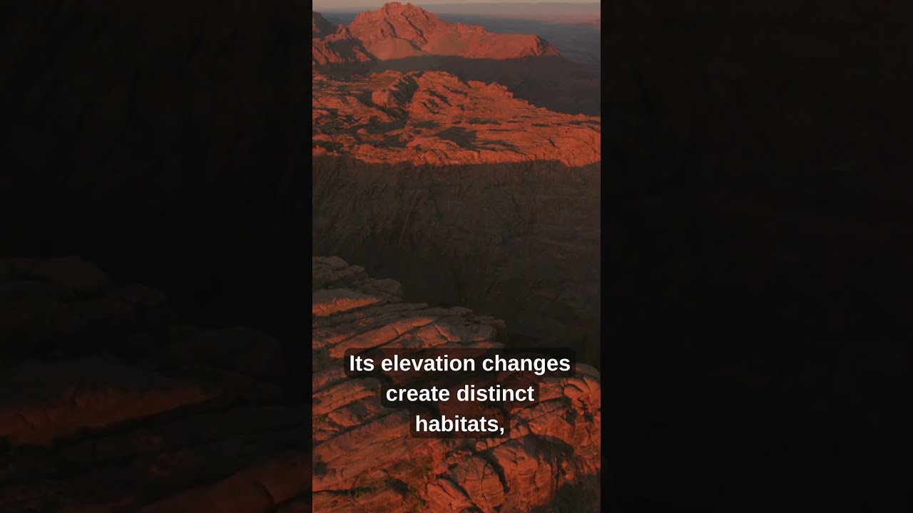 7 Expert Facts About The Grand Canyon