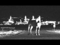 'The High Road' Blip #2