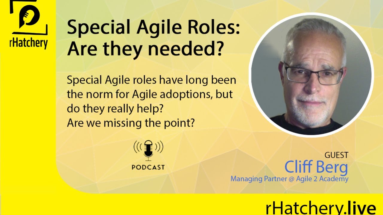 Special Agile Roles: Are They needed?