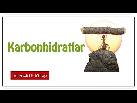 Karbonhidratlar #sayfa22