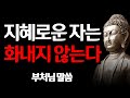 현명한 사람은 화내지 않는다 현명한 사람들의 특징 I 석가모니 명언 I 부처님 말씀 I 인생 조언 I 나이가 들수록 명심해야하는 말 I 격언 I 오디오북 I 철학 불교 현명한 사람은 화내지 않는다 현명한 사람들의 특징 I 석가모니 명언 I 부처님 말씀 I 인생 조언 I 나이가 들수록 명심해야하는 말 I 격언 I 오디오북 I 철학 불교