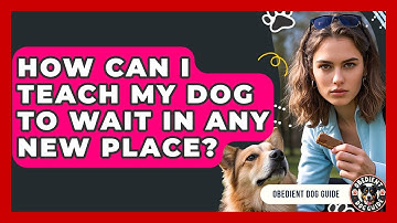 How Can I Teach My Dog To Wait In Any New Place? - Obedient Dog Guide