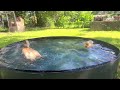 🦆💦 3 Minutes of Relaxing Duck Pool ASMR | Butters &amp; Circles Swimming Peacefully