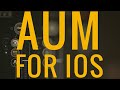 (Almost!) Everything You Need to Know about AUM: AUM Detailed Walkthrough Tutorial