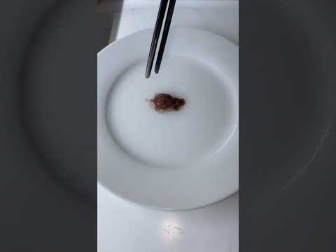 Video: ¿Son buenos los gusanos de sangre congelados?