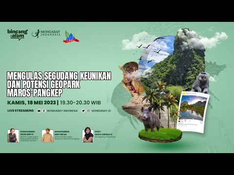 Mengulas Segudang Keunikan dan Potensi Geopark Maros-Pangkep