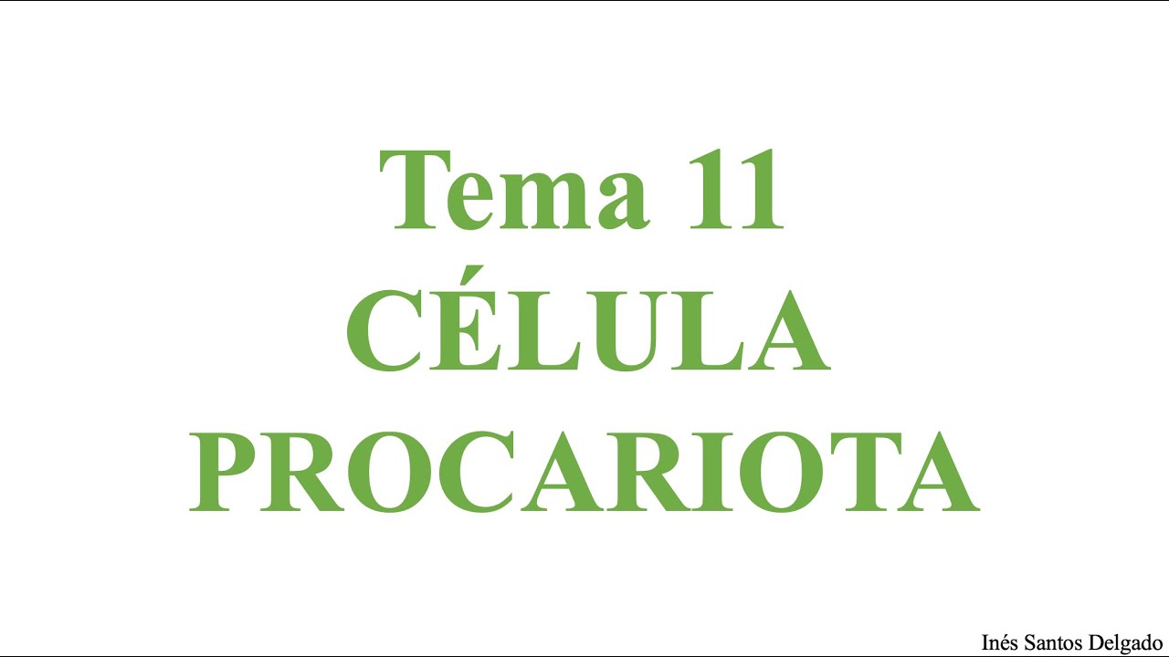 T11. Célula procariota