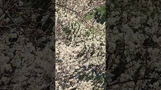후곡공원 영상