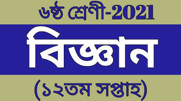 Class 6 Science Assignment 2021 ।। 12th week  ।।  ৬ষ্ঠ শ্রেণির বিজ্ঞান এসাইনমেন্ট ১২ সপ্তাহ ২০২১ ।।
