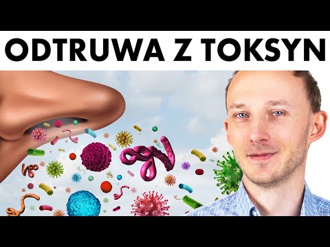 Wideo: Jaki jest wyjątkowy typ organizmu?