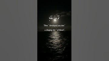 Surah Al-Hajj | سورة الحج | The Pilgrimage