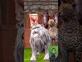चीते की मटन की दुकान और शेर की बुद्धि | Animal Story | Dinosaur Stories | Hindi Kahani | #shorts
