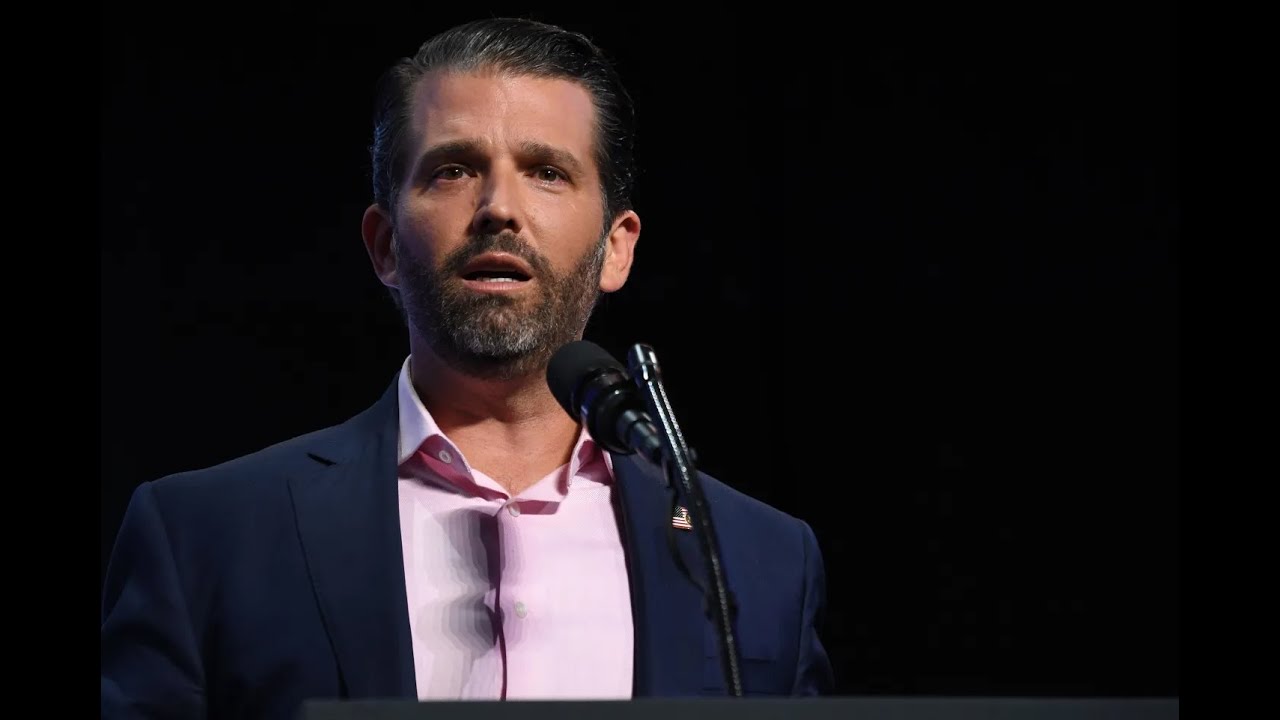 Don Jr. tries to rescue panicking Trump officials, INSTANTLY regrets it