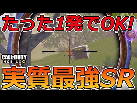 【CoD Mobile BR 】EBRが最強？いやいや１発で仕留めれる「Rytec」が実質最強SRでしょ！！