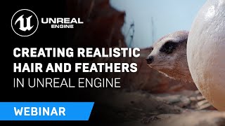 Creating Realistic Hair and Feathers in Unreal Engine | Webinar