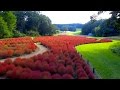 コキアの紅葉　〜国営武蔵丘陵森林公園〜 の動画、YouTube動画。